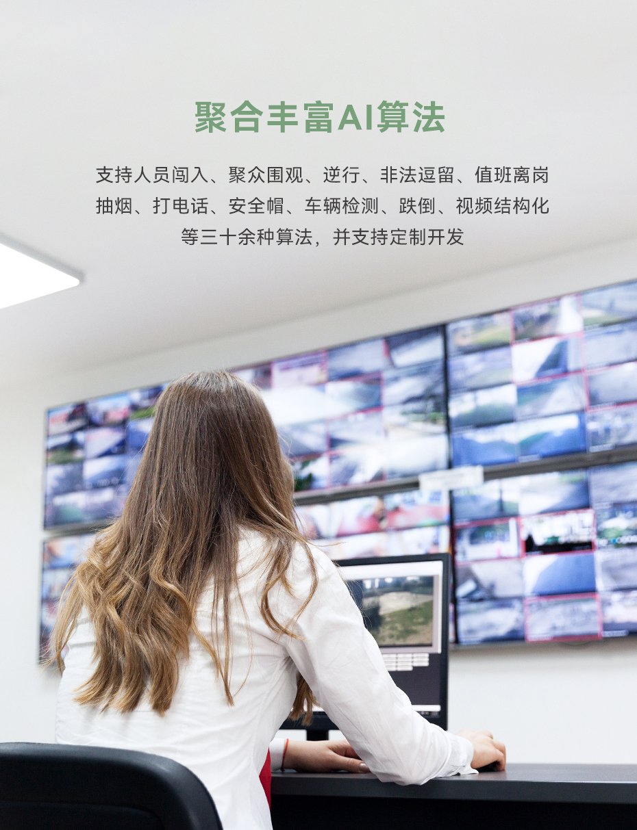 天波V1边缘计算服务器_丰富ai算法.jpg
